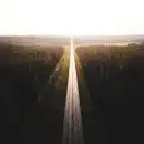 black road surrounded by trees