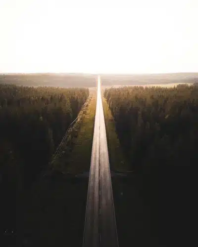 black road surrounded by trees