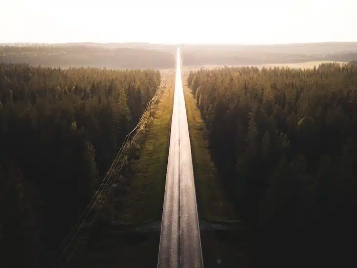 black road surrounded by trees