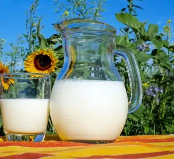 2 clear glass pitcher with milk