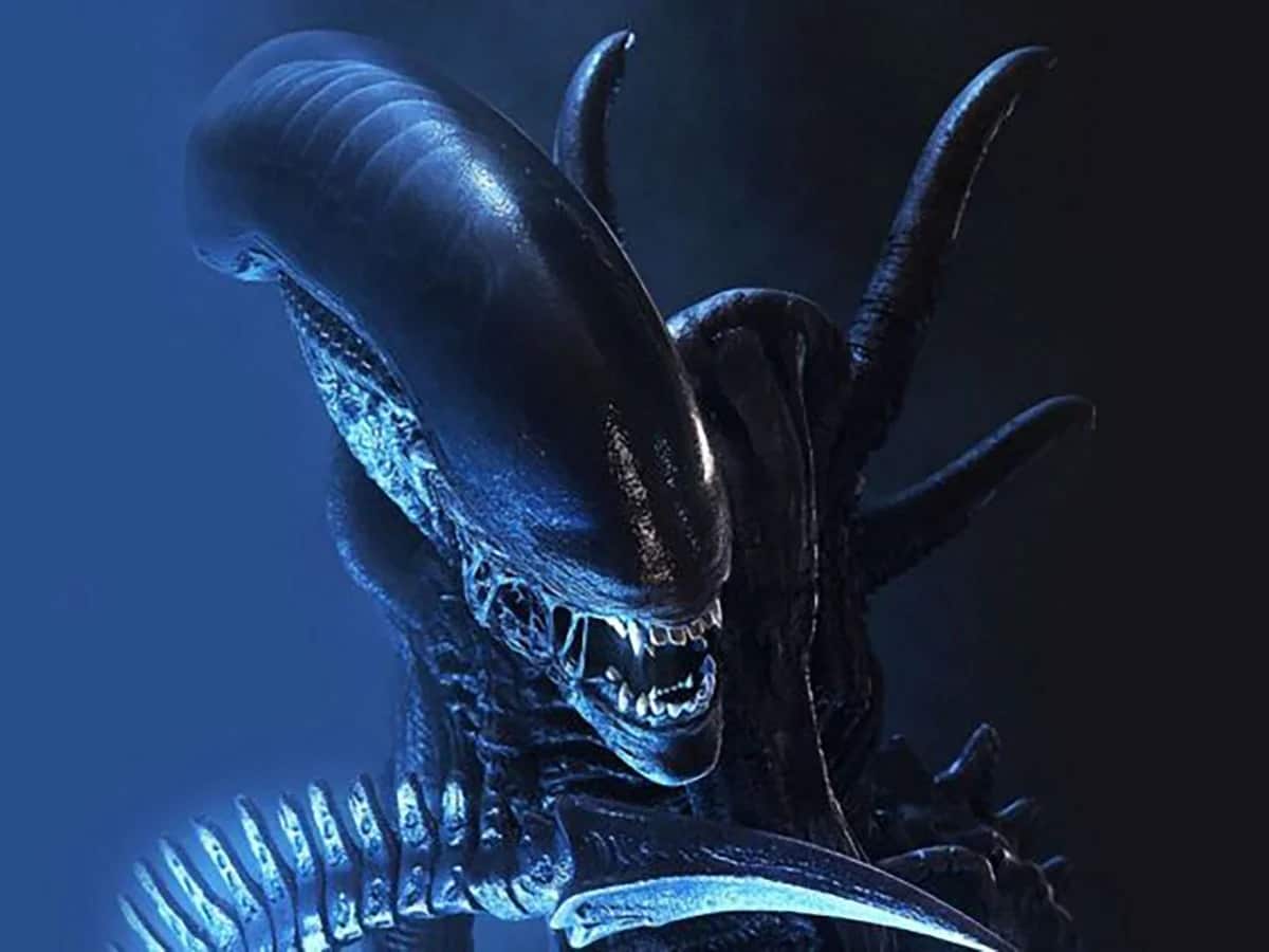 voici comment regarder la saga dans l'ordre